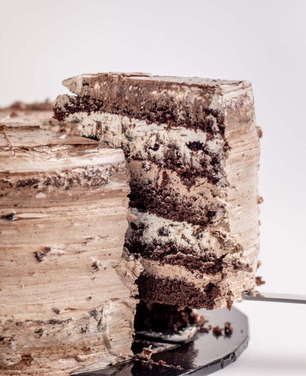 Chocolate Dessert Slice Cake